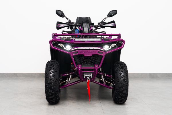 GRINDOR 250 LD виде спереди